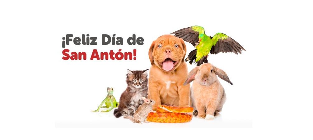 Celebra el Día de los Animales con una Visita a San Antonio
