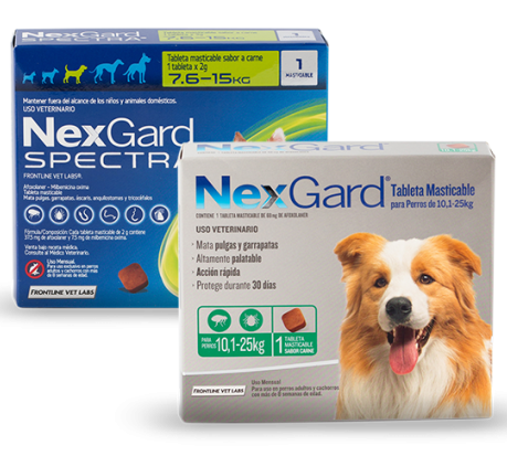 Combate las garrapatas con pastillas para perros