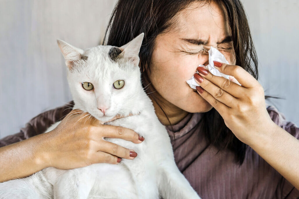 consejos-para-prevenir-y-minimizar-las-alergias-a-los-gatos