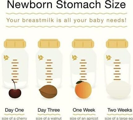 ¿Cuánto líquido necesita un bebé recién nacido para alimentarse?