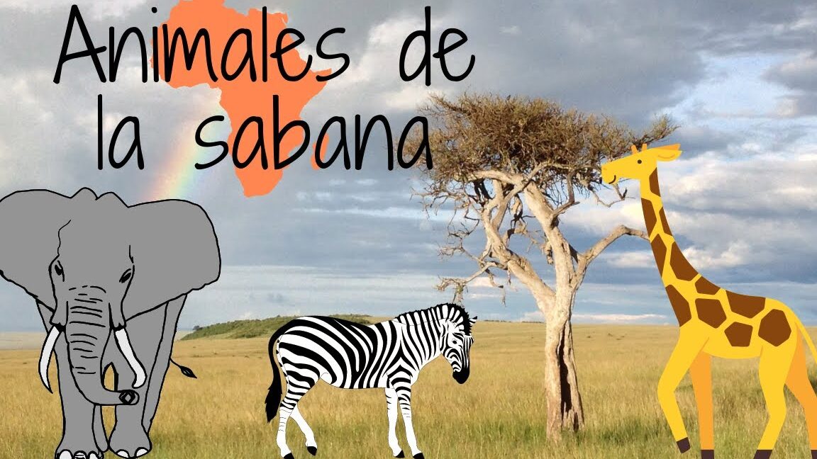Explorando la Fascinante Vida de los Animales de la Sabana Africana para Niños