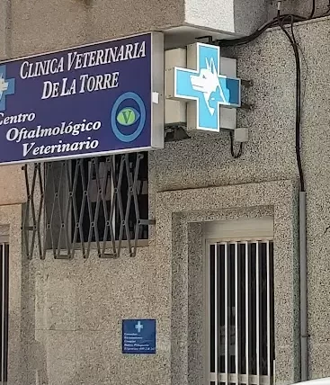 24-horas-de-cuidado-veterinario-en-la-clinica-de-la-torre