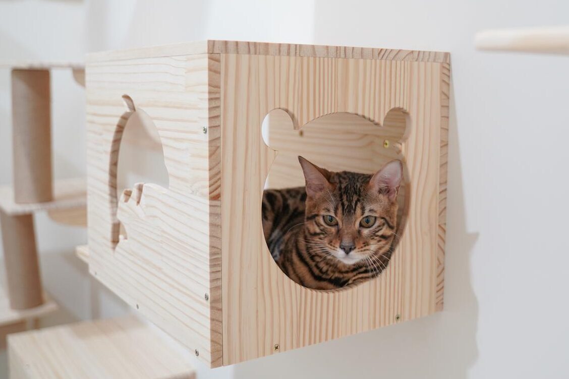 Cómo construir una casa para gatos de madera