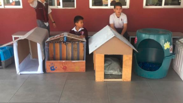 Cómo construir una casa para perro usando material reciclado