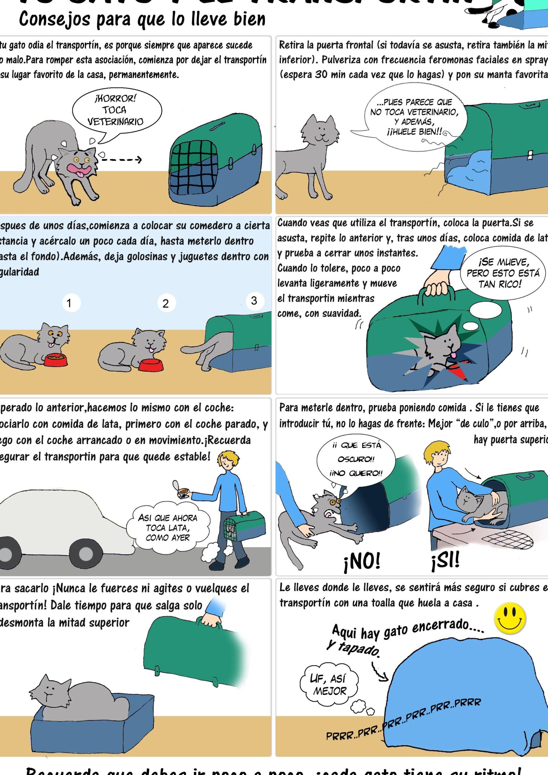 Consejos para meter con facilidad a tu gato en un transportín