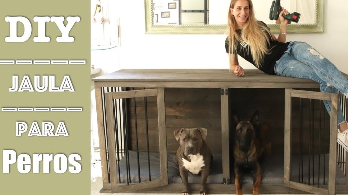 Construye tu propia jaula para perro: paso a paso