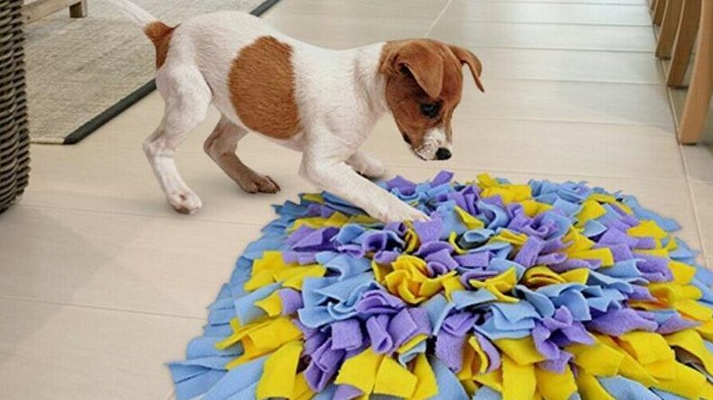 Crea tu propia alfombra olfativa para perros
