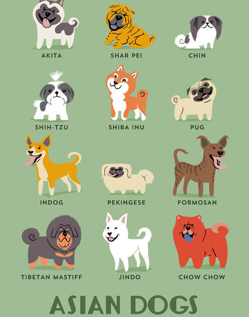 cuantas-razas-de-perro-existen-en-el-mundo