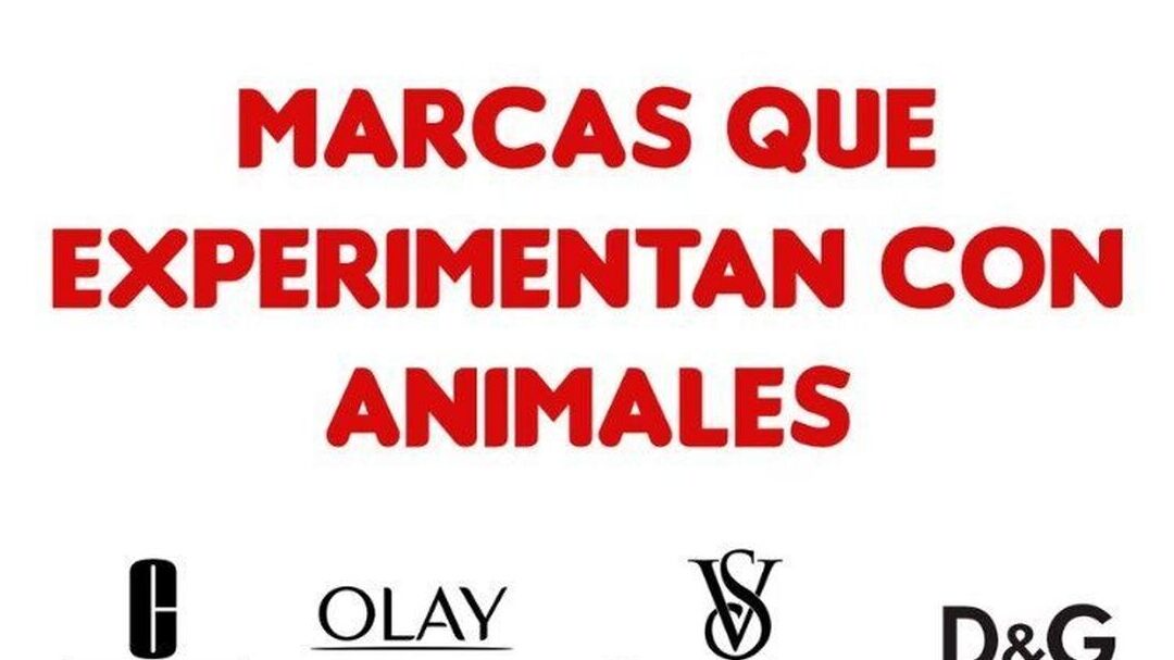 Las Marcas que Prueban en Animales en México Reveladas