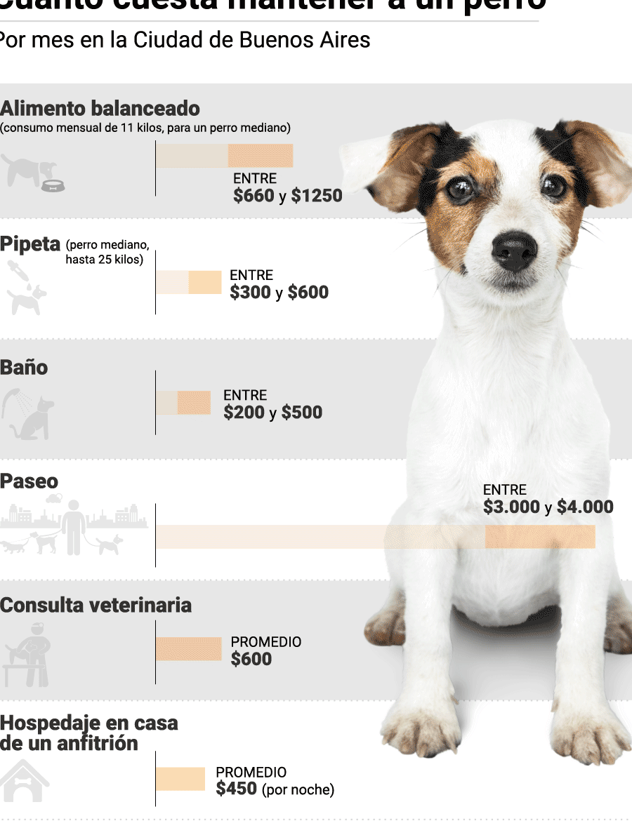 Los Costos de la Primera Serie de Vacunas para Perros