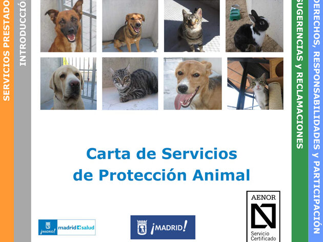 los-servicios-veterinarios-gratuitos-de-la-comunidad-de-madrid