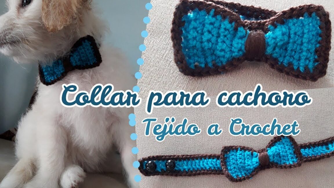 Revive tu mascota con un Collar Tejido a Crochet