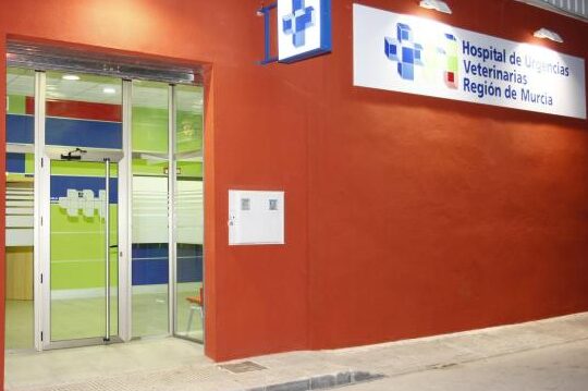 Servicios Veterinarios de Emergencia en la Región de Murcia